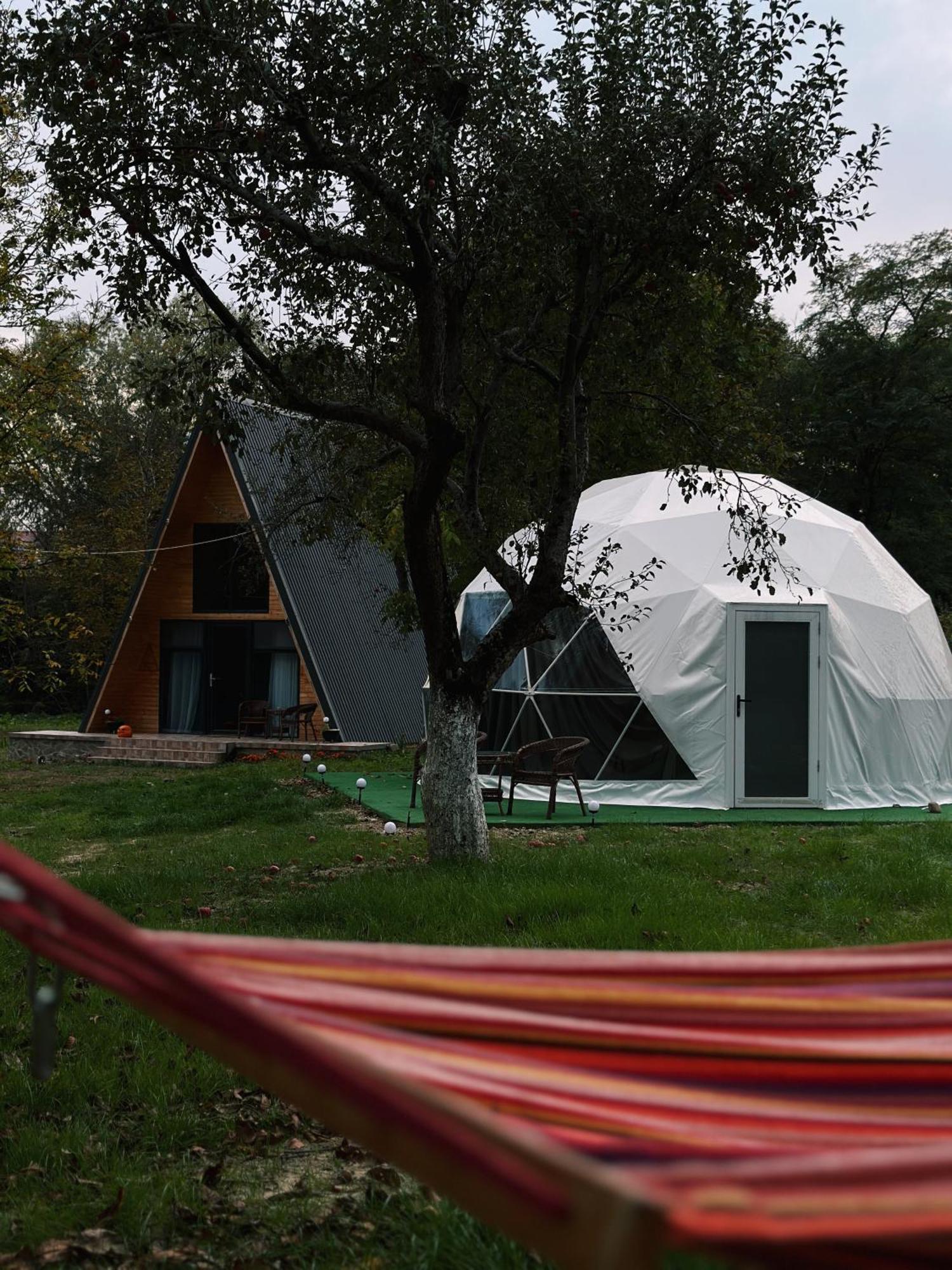ホテル The Frog Glamping ホレズ エクステリア 写真