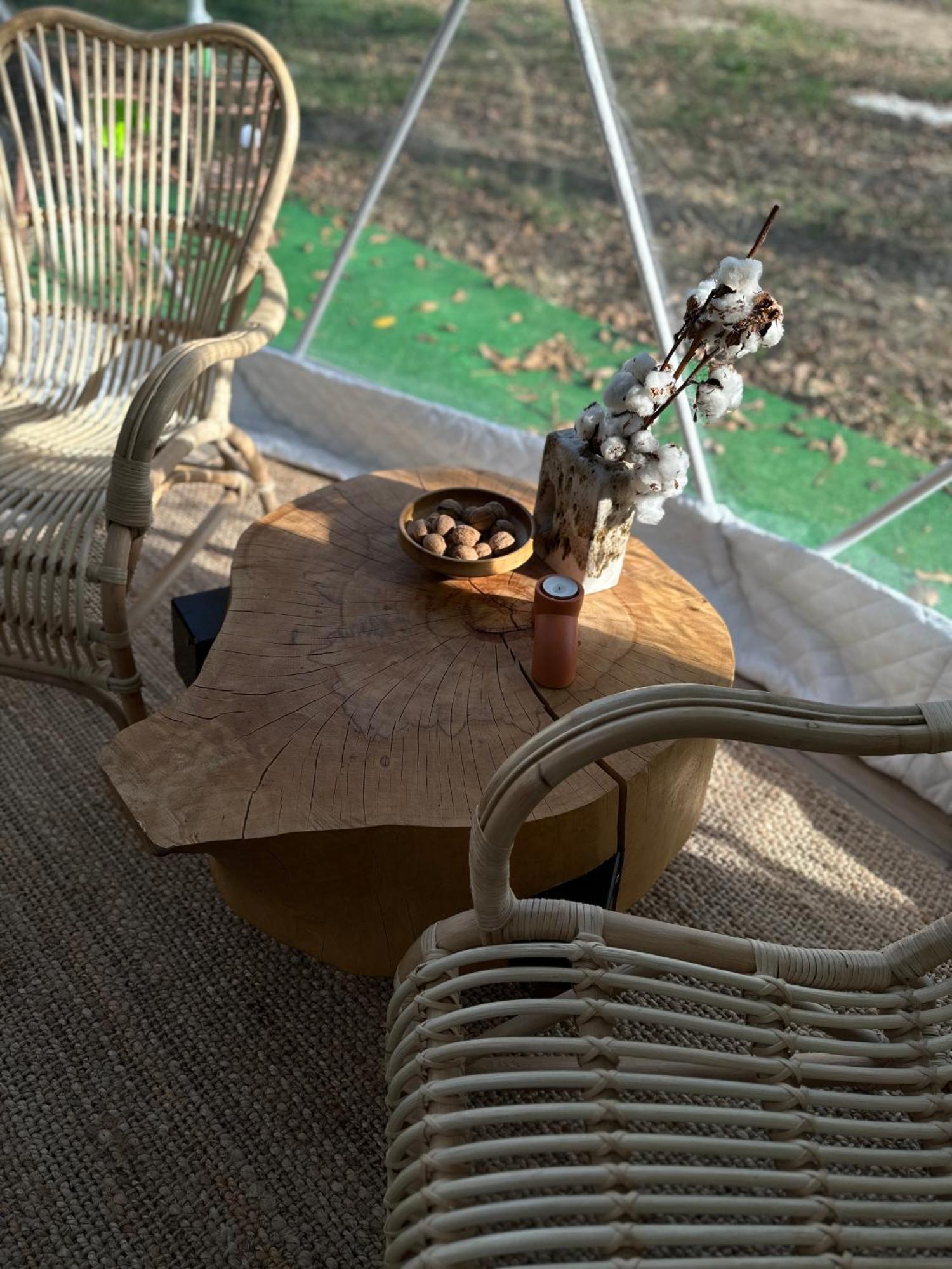 ホテル The Frog Glamping ホレズ エクステリア 写真