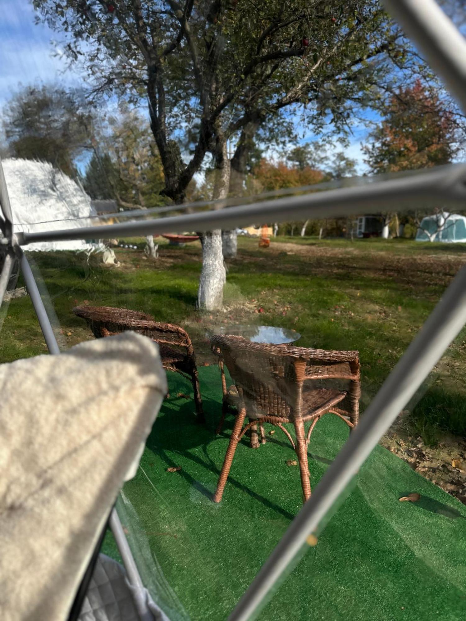 ホテル The Frog Glamping ホレズ エクステリア 写真